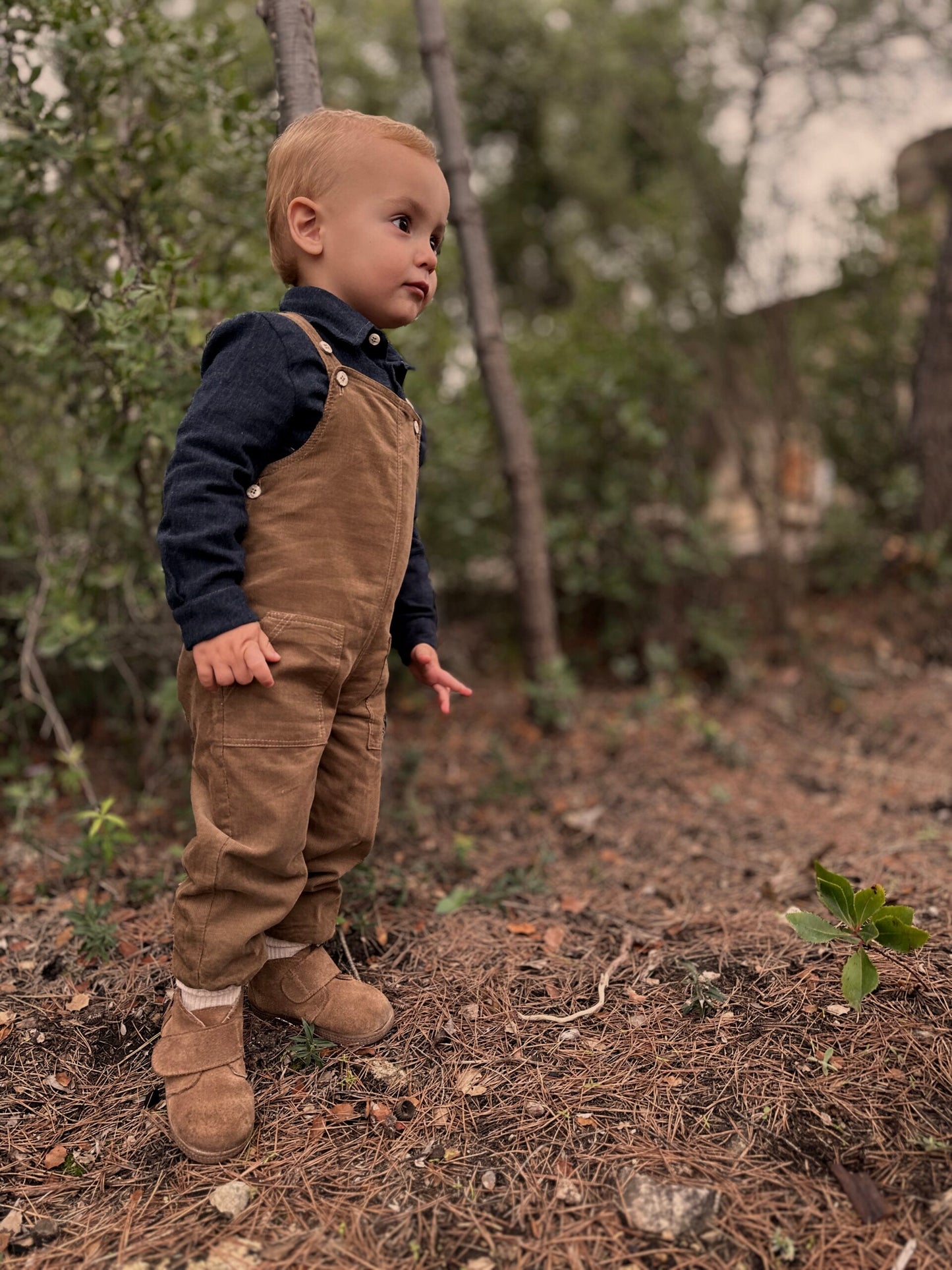 Organic cotton muslin shirt | Blueberries | Navy Ecru