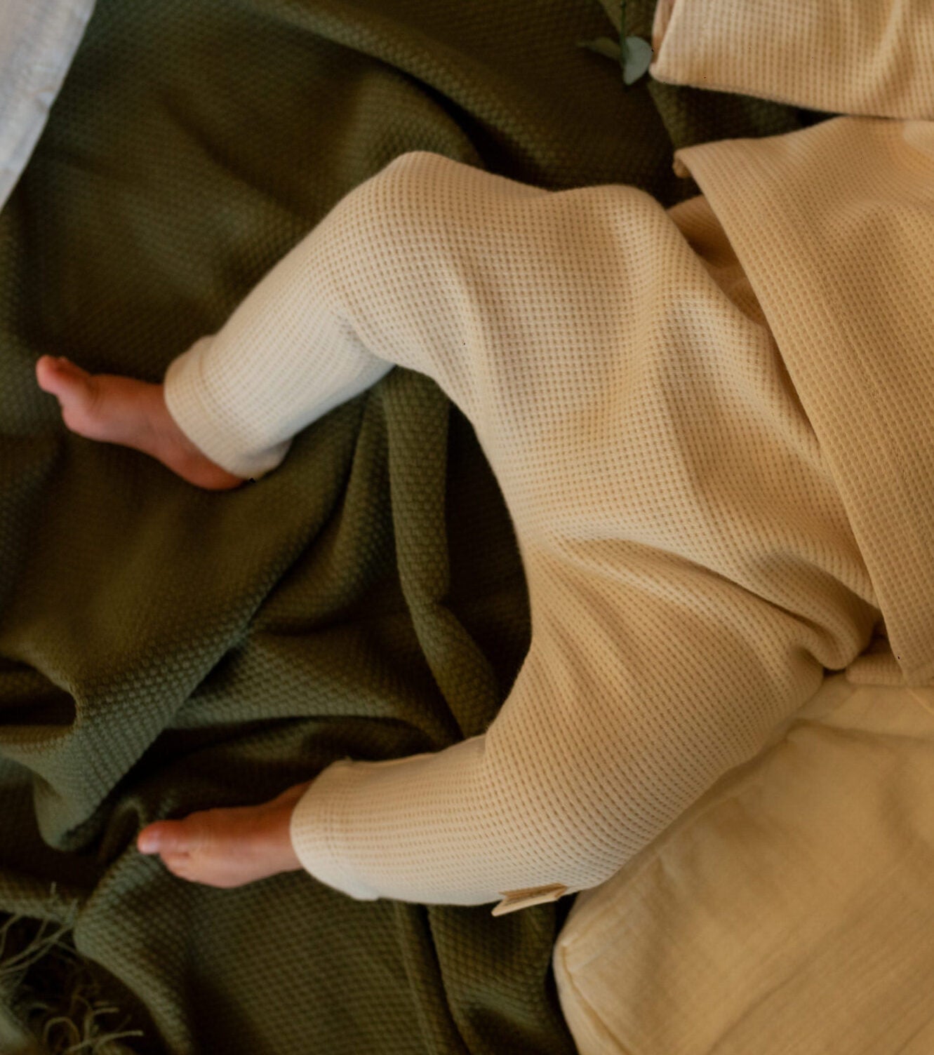 Organic cotton honeycomb leggings Boxwood | Ecru